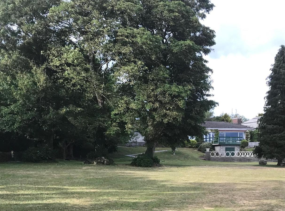St Kyrans Guest House 弗吉尼亚 外观 照片